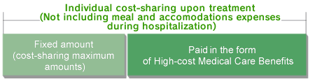 Individual cost-sharing upon treatment−Illustration