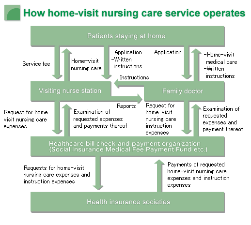How home-visit nursing care service operates−Illustration