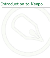 Introduction to Kenpo