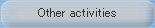 Other activities