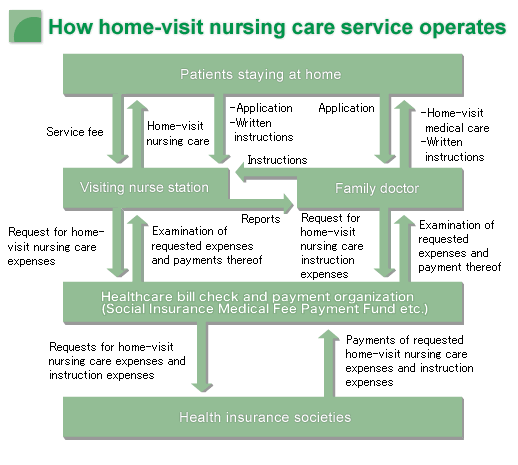 How home-visit nursing care service operates|Illustration