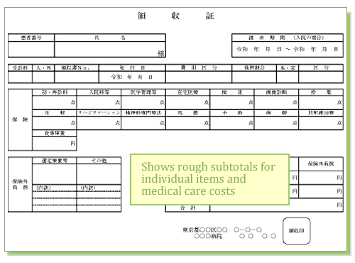 Example of an itemized receipt with a breakdown of medical care cost - Illustration